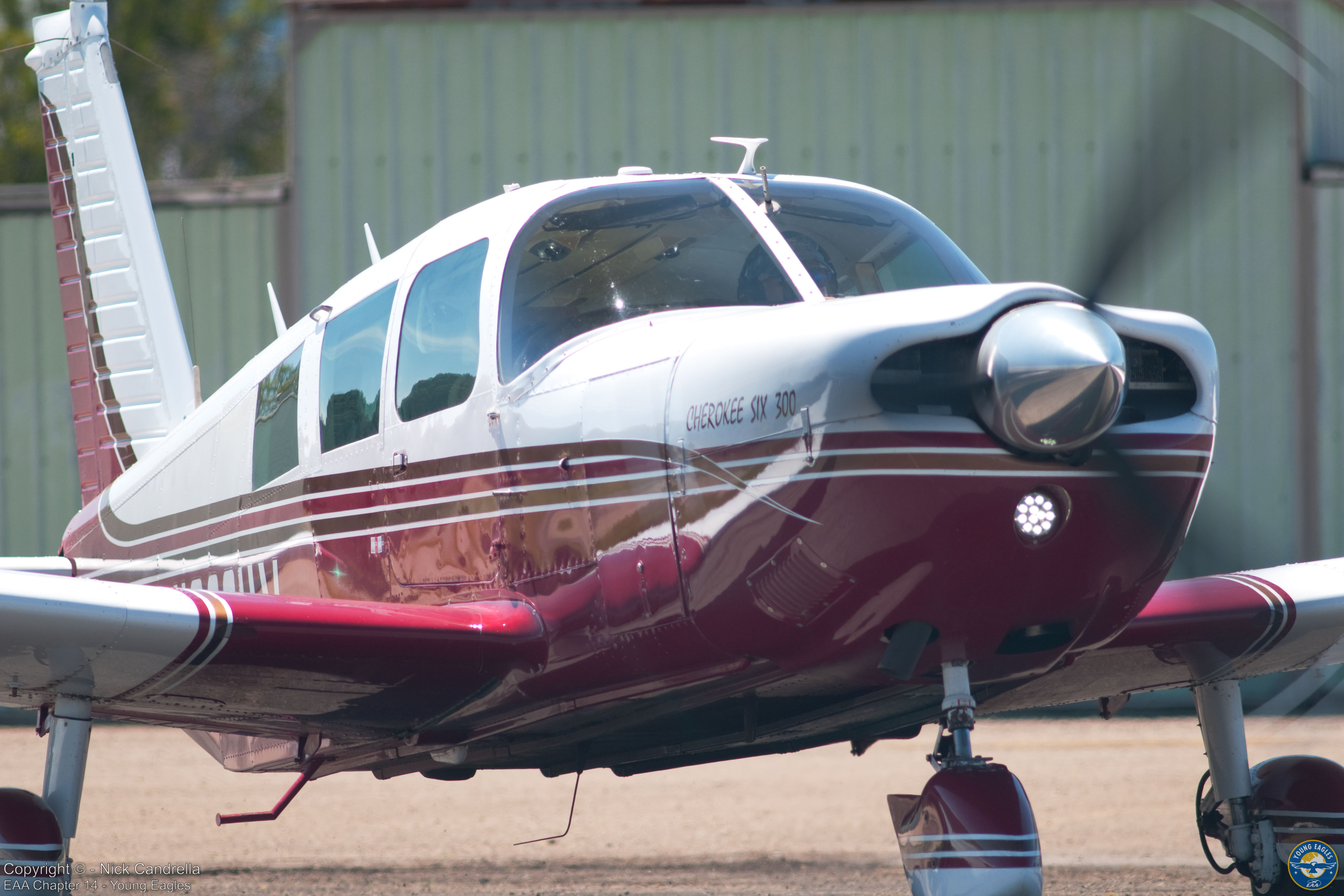 Young Eagles photo 3